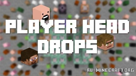  Players Drop Heads  Minecraft 1.21