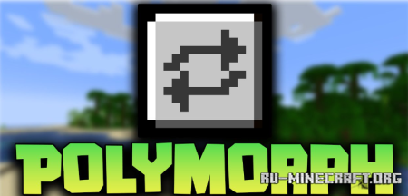  Polymorph  Minecraft 1.21
