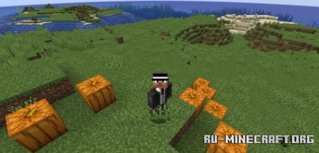  Perspektive  Minecraft 1.21