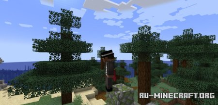  Perspektive  Minecraft 1.21