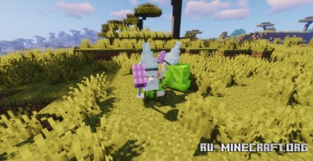  Wizard Gnomo  Minecraft 1.20