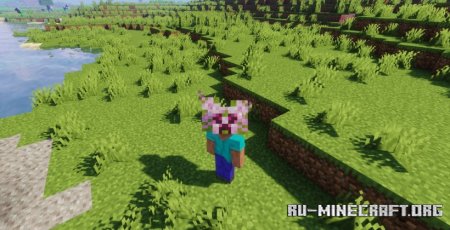  Cherry Creeper  Minecraft 1.20