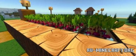   RTX  Minecraft PE 1.20