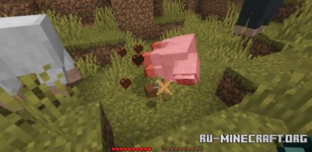  DarkWooly  Minecraft 1.21