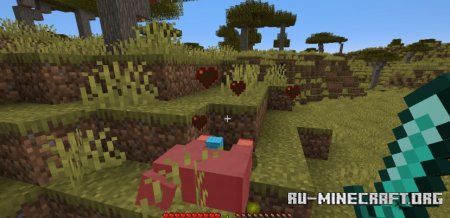  DarkWooly  Minecraft 1.21