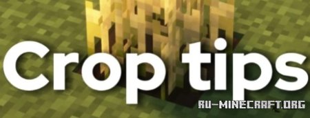  Crop Tips  Minecraft 1.21