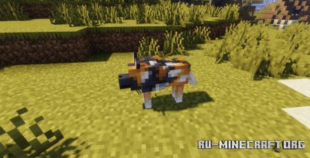  Better Vanilla Wolves  Minecraft 1.21