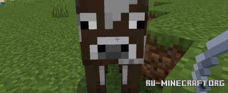     Minecraft PE 1.21