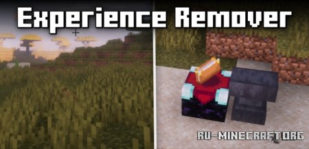 Скачать Experience Remover для Minecraft 1.21