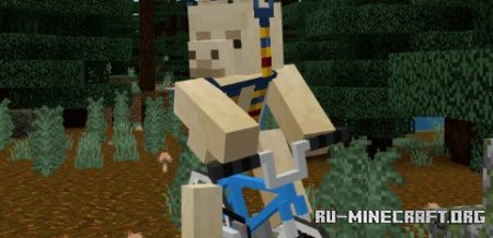   BMX  Minecraft PE 1.21