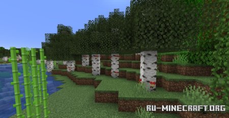  Better Looking Vanilla  Minecraft 1.21