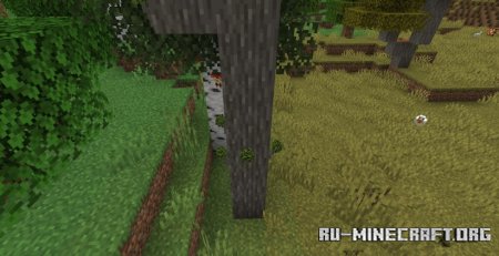  Better Looking Vanilla  Minecraft 1.21