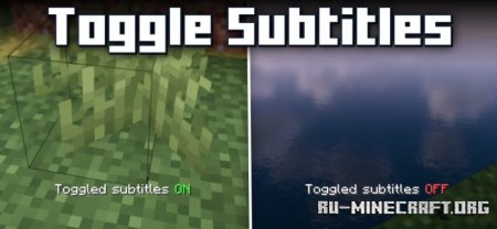  Toggle Subtitles  Minecraft 1.21