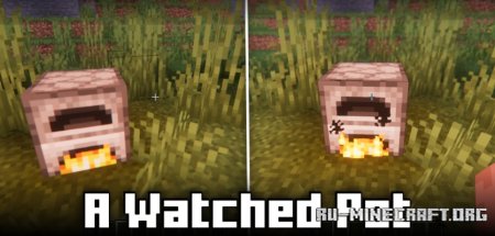 Скачать A Watched Pot для Minecraft 1.21