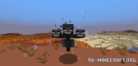  Wither Spawn Fix  Minecraft 1.21