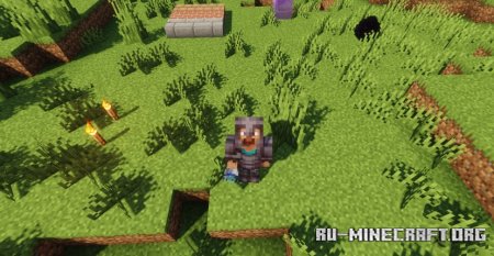  Blue Cod  Minecraft 1.21