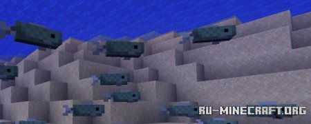  Blue Cod  Minecraft 1.21