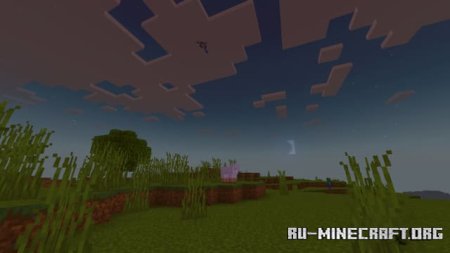      Minecraft PE 1.21