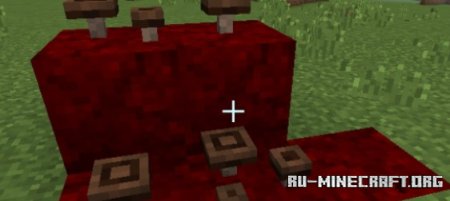     Minecraft PE 1.21