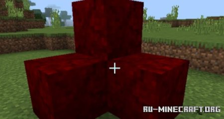     Minecraft PE 1.21