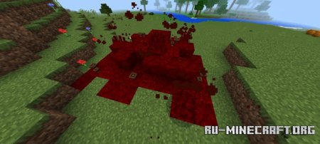     Minecraft PE 1.21