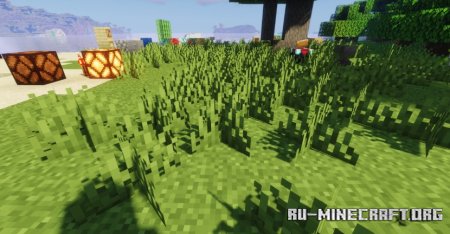  Enhanced Vanilla Visuals  Minecraft 1.21