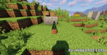  Tree Saplings  Minecraft 1.21