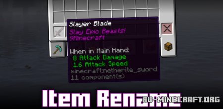  Item Rename  Minecraft 1.21.1