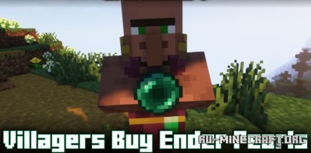 Скачать Villagers Buy Ender Pearls для Minecraft 1.21