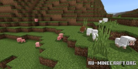    -   Minecraft PE 1.21