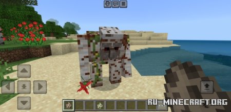     Minecraft PE 1.21