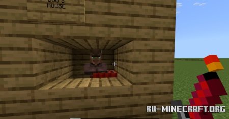     Minecraft PE 1.21