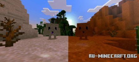      Minecraft PE 1.21