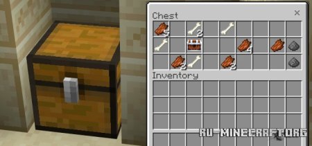     Minecraft PE 1.21