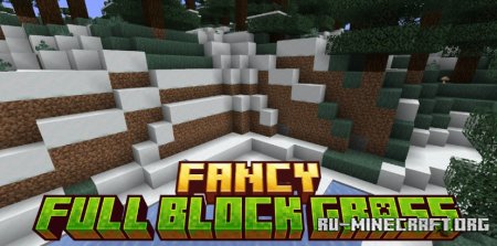  Fancy Full Block Grass  Minecraft 1.21