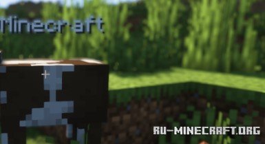  Transparent Nametags  Minecraft 1.21.1