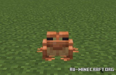  -  Minecraft PE 1.21