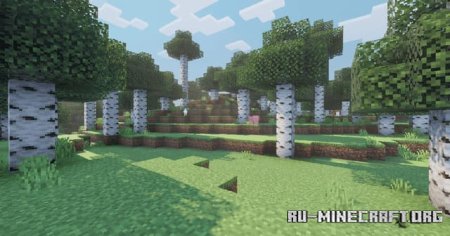   ( )  Minecraft PE 1.21