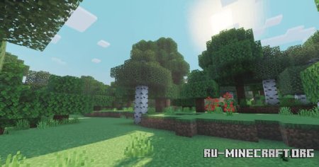   ( )  Minecraft PE 1.21