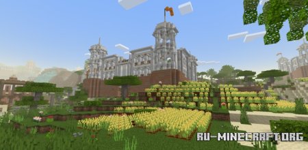   :    Minecraft PE 1.21