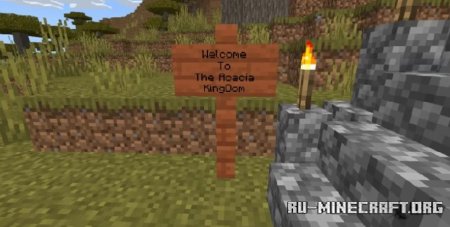  Welcome To The Acacia KingDom  Minecraft