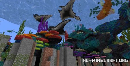  Reef Race  Minecraft