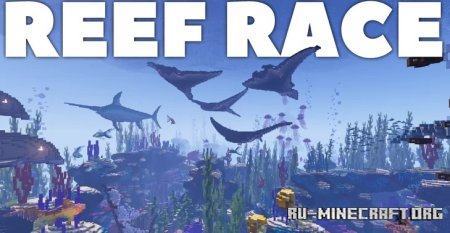  Reef Race  Minecraft