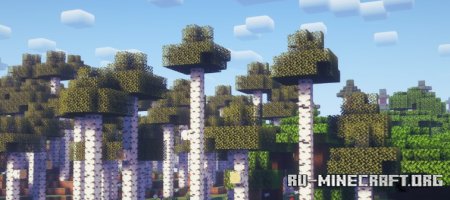  Hollow  Minecraft 1.21.1