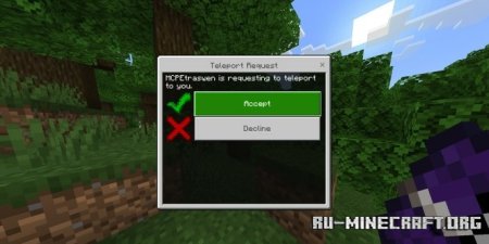      Minecraft PE 1.21