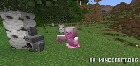  Mutated Items  Minecraft 1.21.1