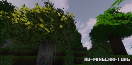  Optimum Realism POM & PBR  Minecraft 1.21