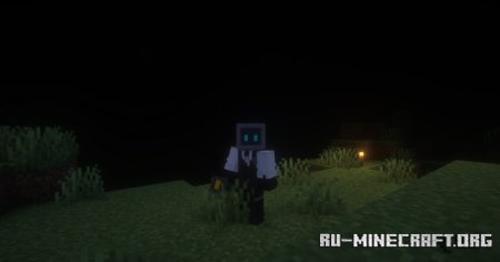  NightTime  Minecraft 1.21.1