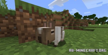  Vanilla Degus  Minecraft 1.21.1