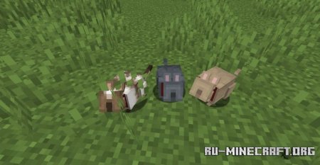  Vanilla Degus  Minecraft 1.21.1